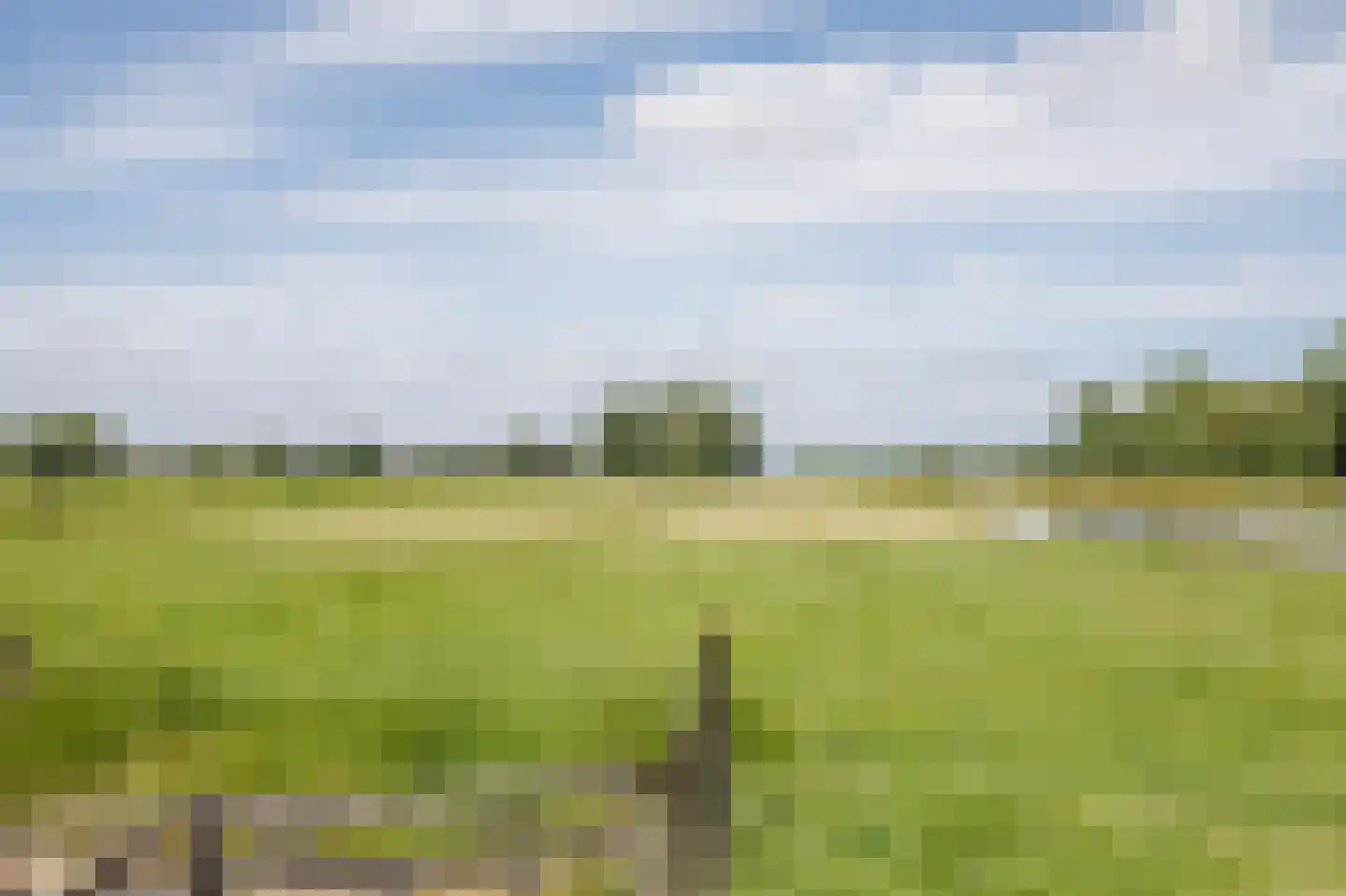 Tussenlanen 14 a Bergambacht thumbnail 44