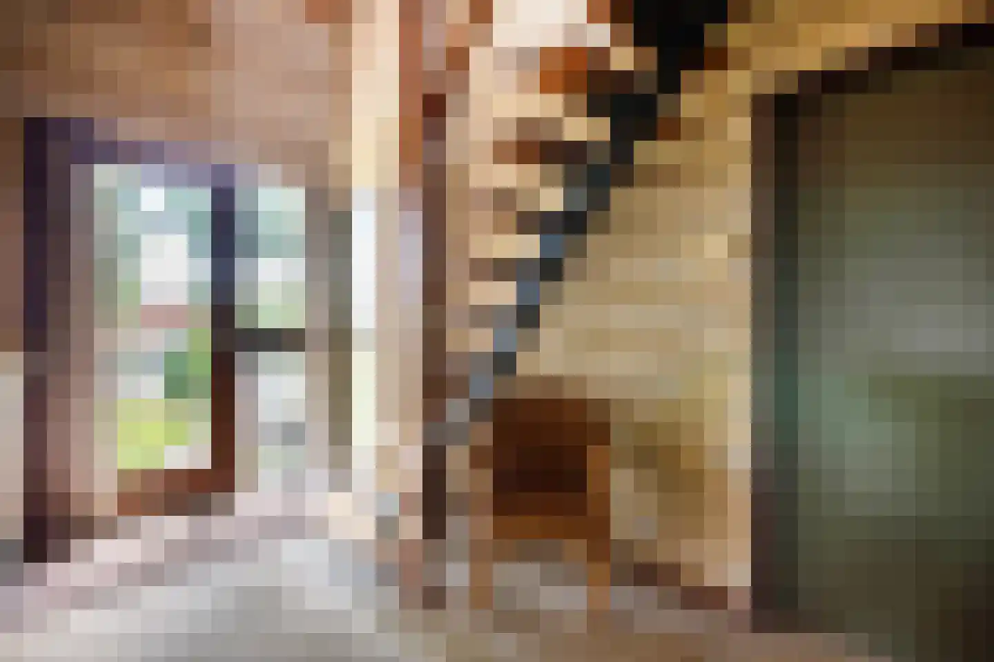 Tussenlanen 14 a Bergambacht thumbnail 8