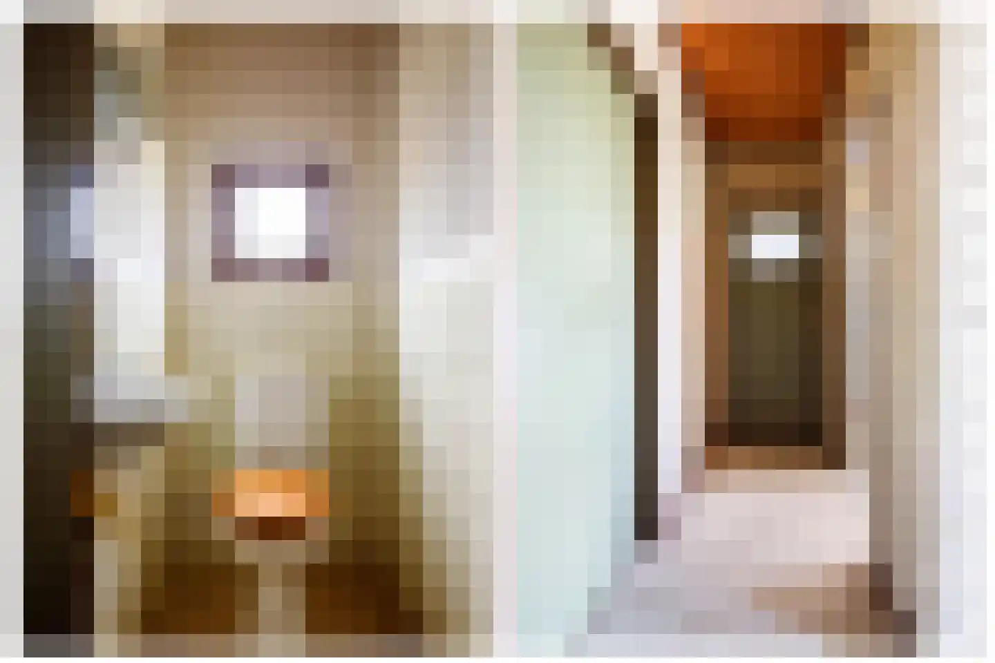 Tussenlanen 14 a Bergambacht thumbnail 9