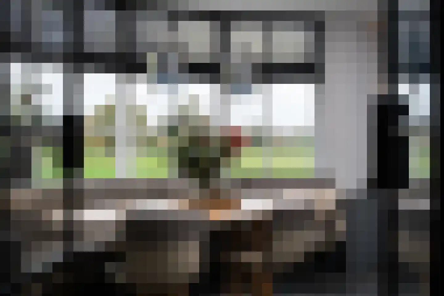Tussenlanen 16 Bergambacht thumbnail 10