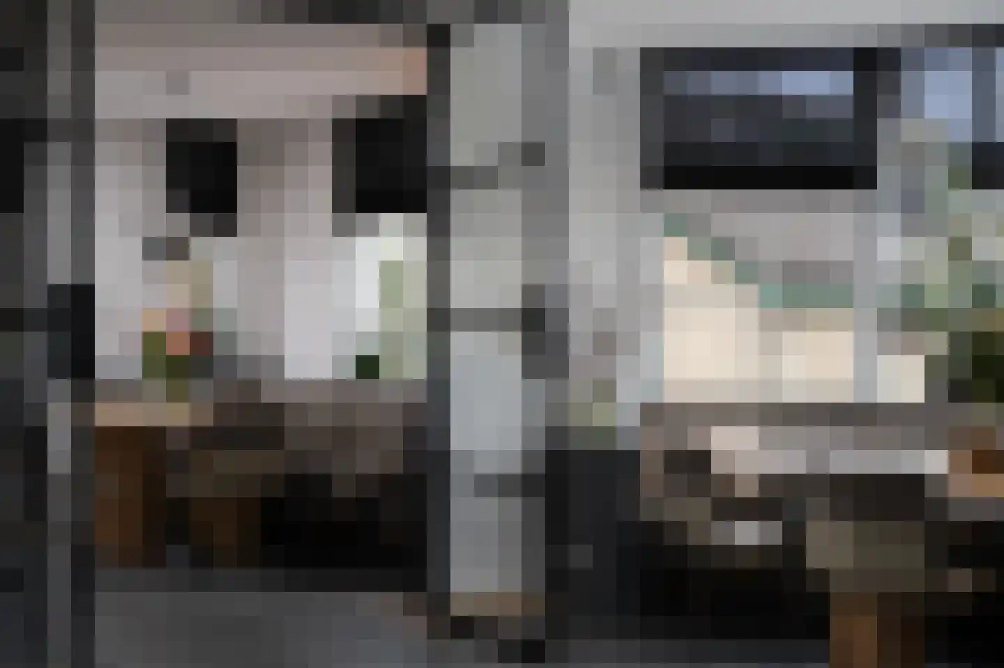 Tussenlanen 16 Bergambacht thumbnail 11