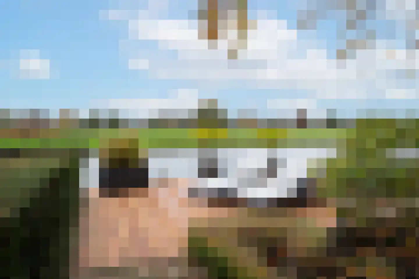 Tussenlanen 16 Bergambacht thumbnail 16