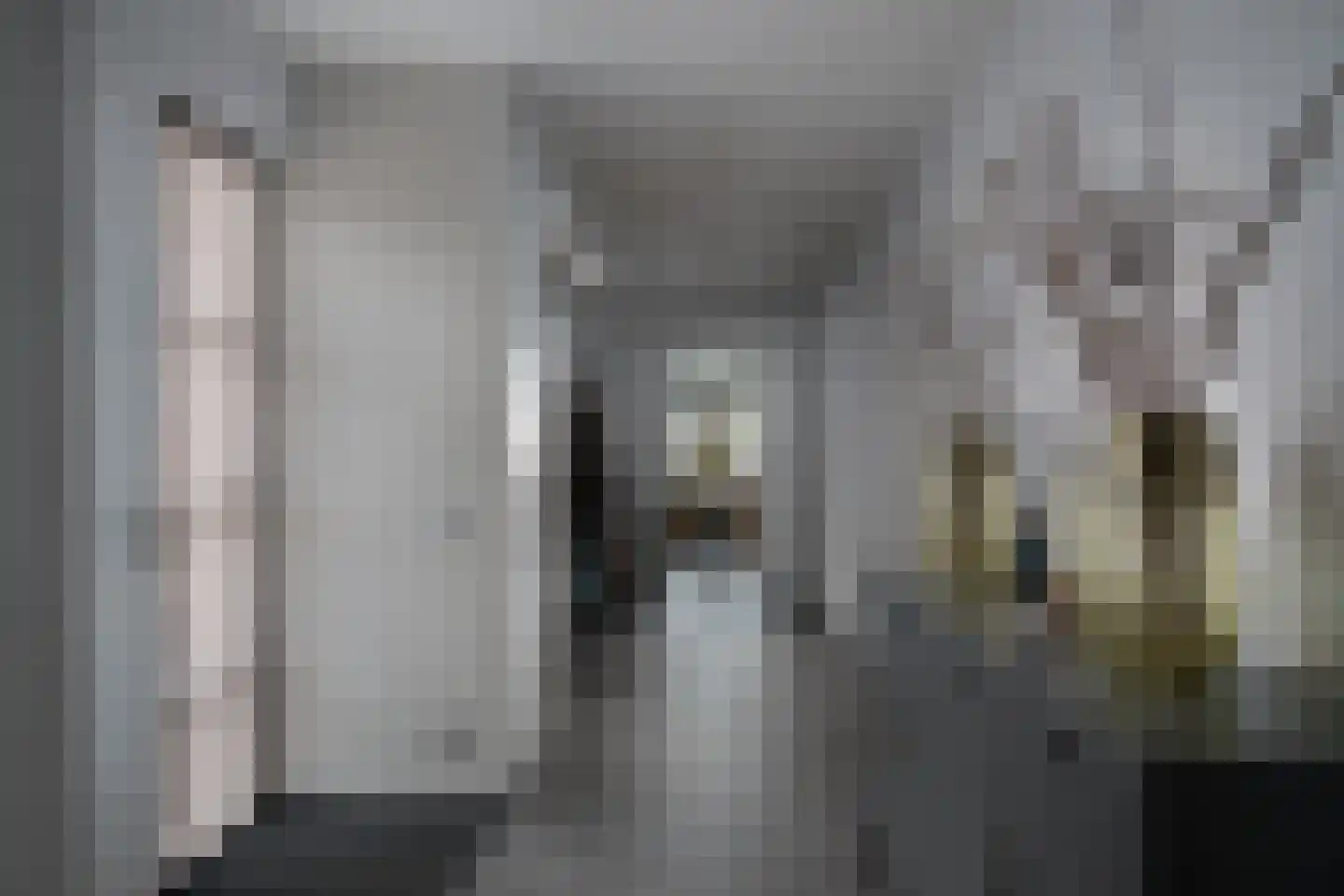 Tussenlanen 16 Bergambacht thumbnail 17