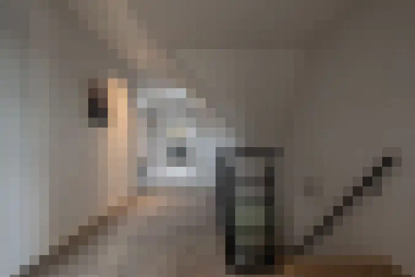Tussenlanen 16 Bergambacht thumbnail 18