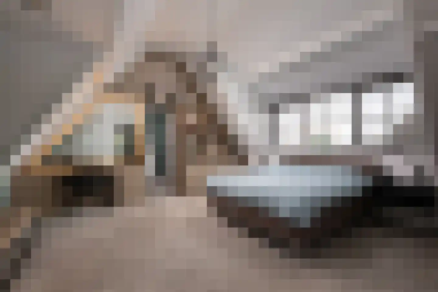 Tussenlanen 16 Bergambacht thumbnail 22