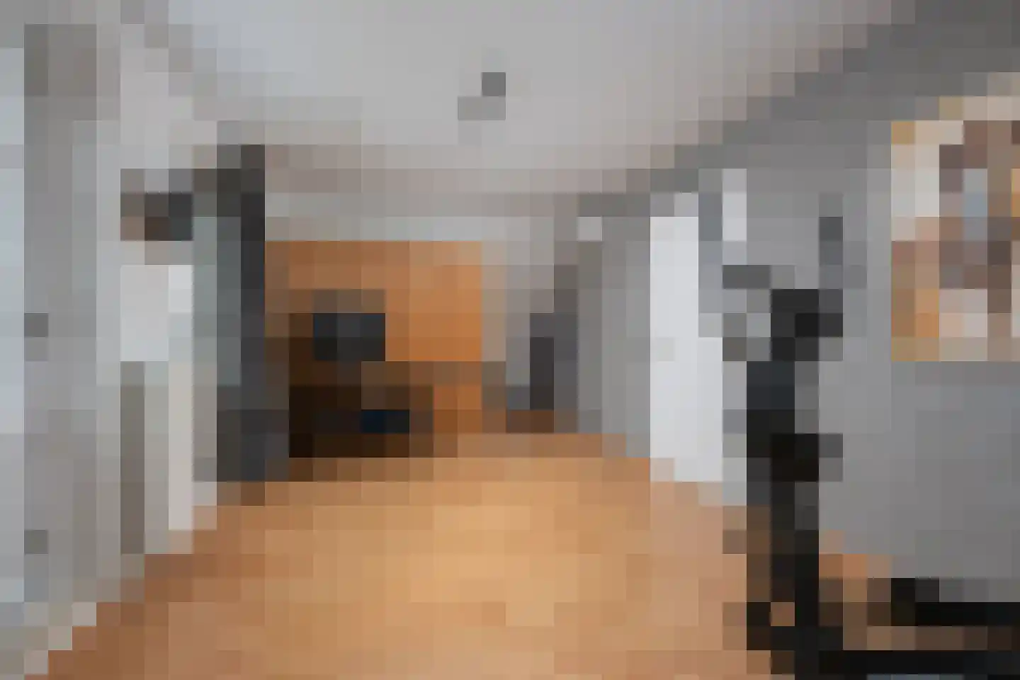 Tussenlanen 16 Bergambacht thumbnail 30