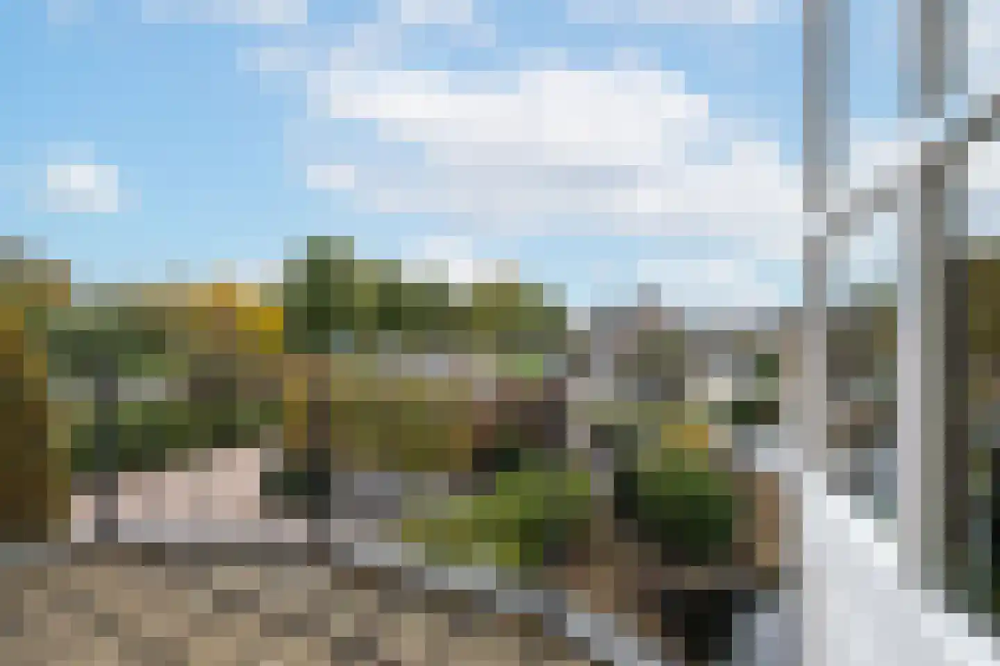 Tussenlanen 16 Bergambacht thumbnail 31