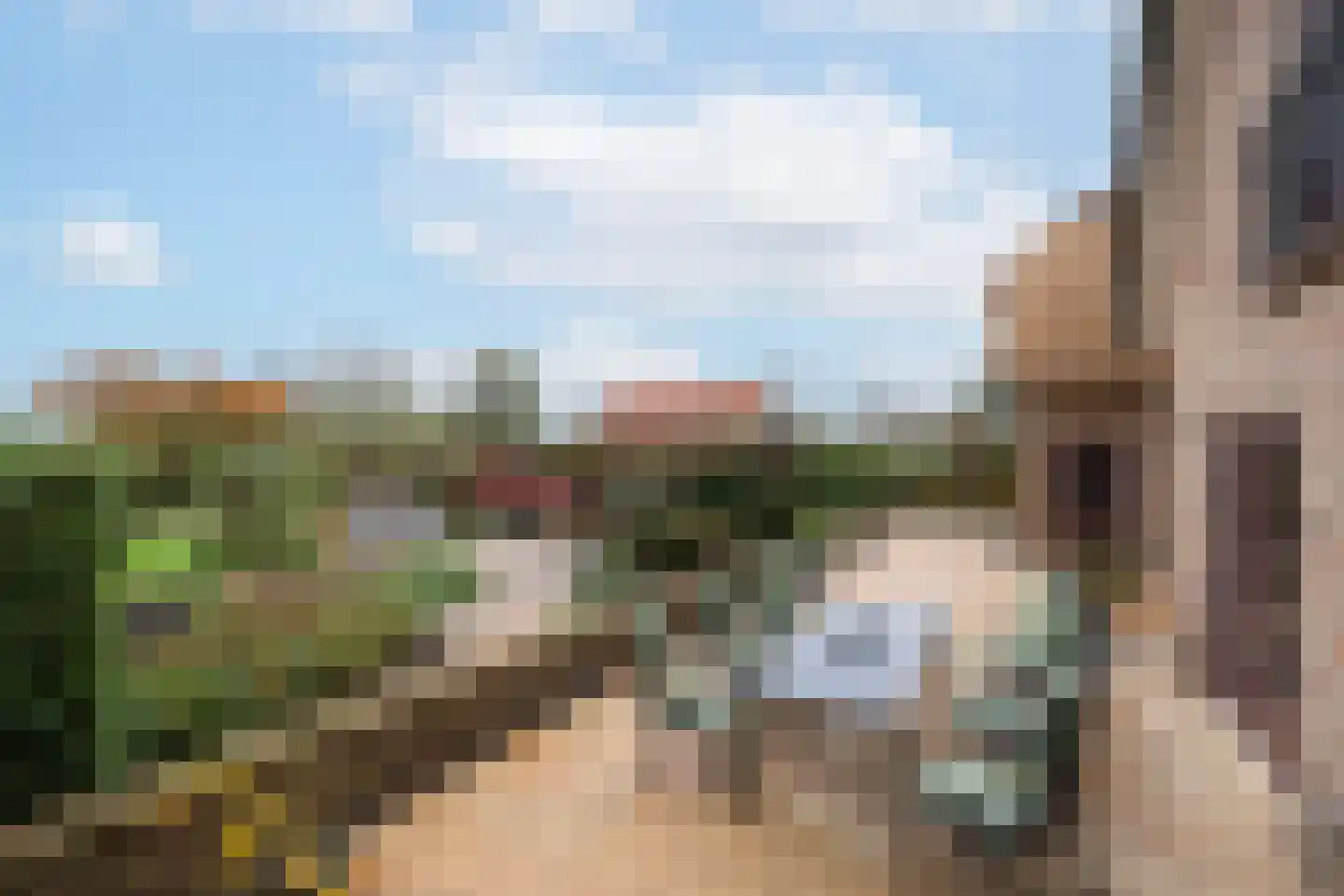 Tussenlanen 16 Bergambacht thumbnail 34