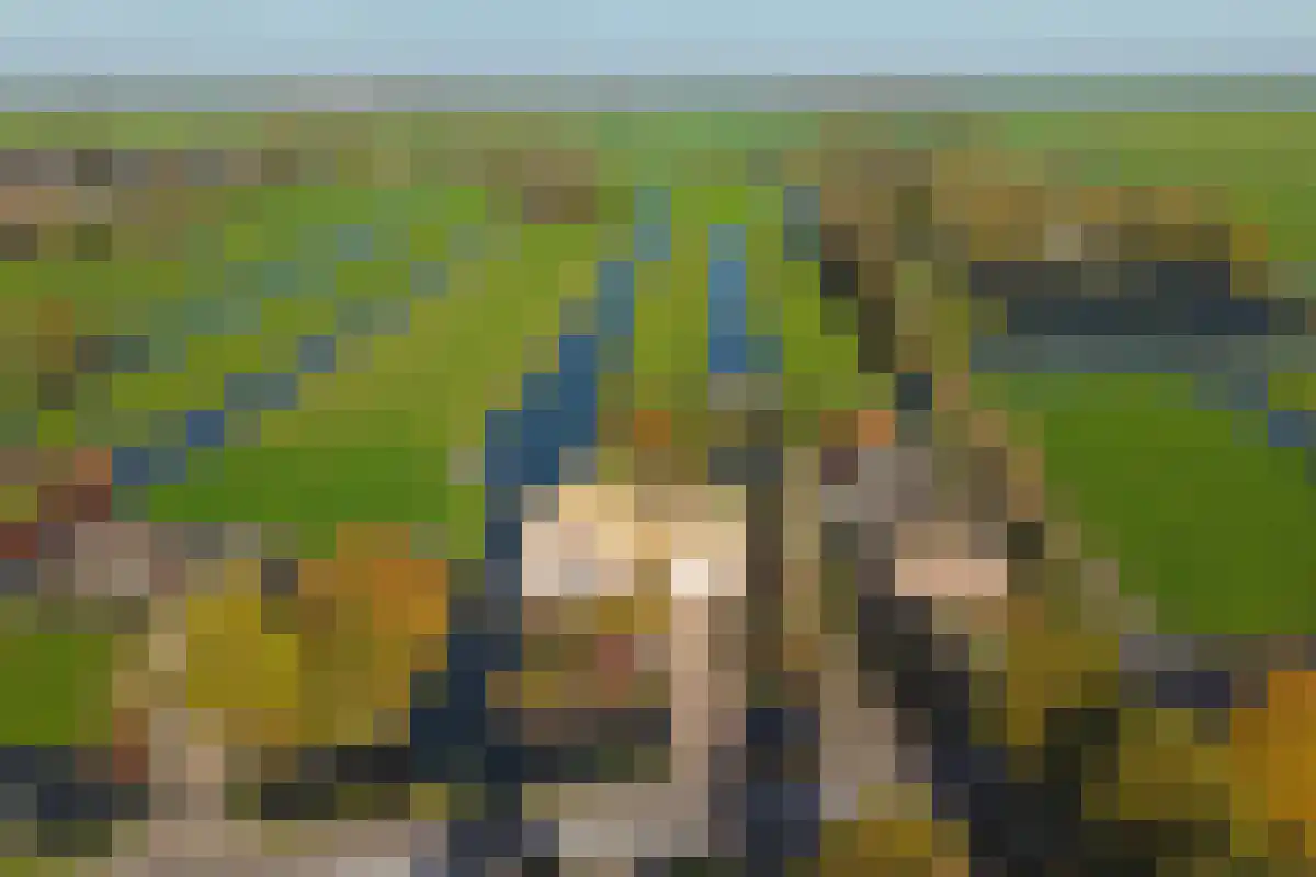 Tussenlanen 16 Bergambacht thumbnail 45