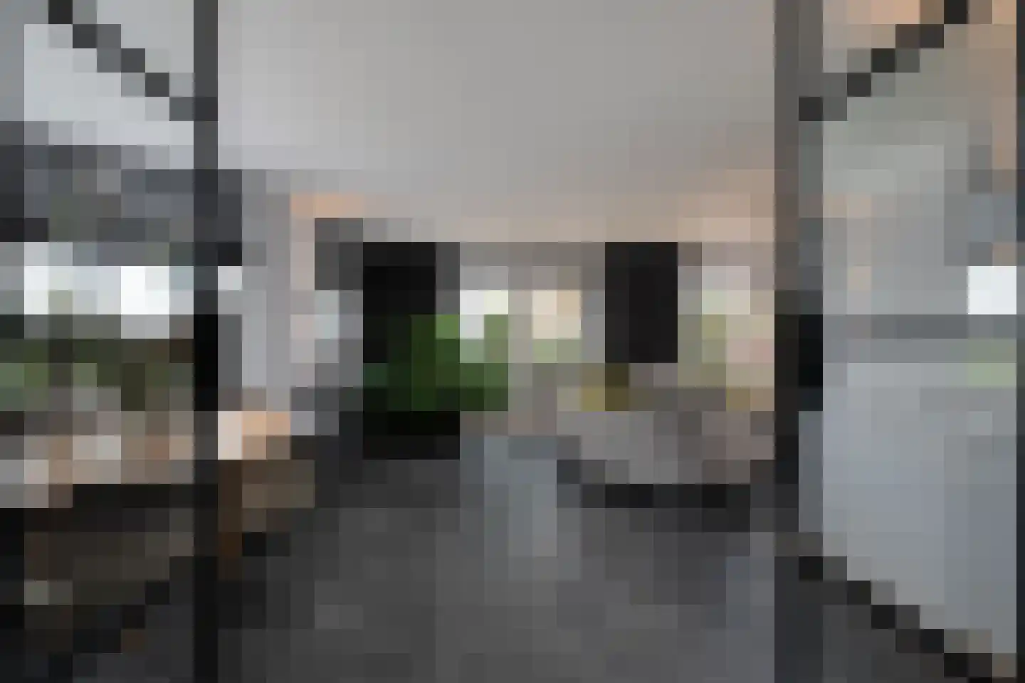 Tussenlanen 16 Bergambacht thumbnail 5