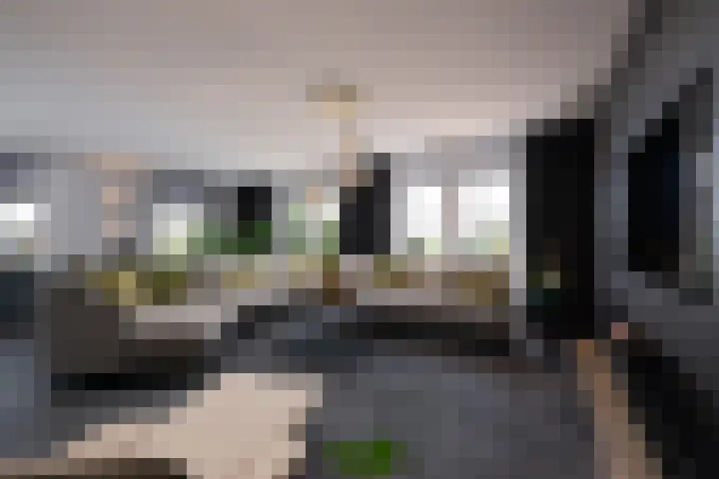 Tussenlanen 16 Bergambacht thumbnail 8