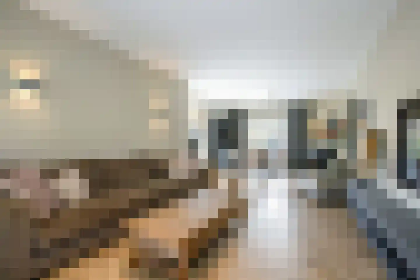 Tussenlanen 3 Bergambacht thumbnail 12
