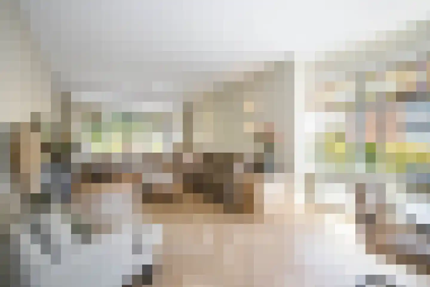 Tussenlanen 3 Bergambacht thumbnail 15