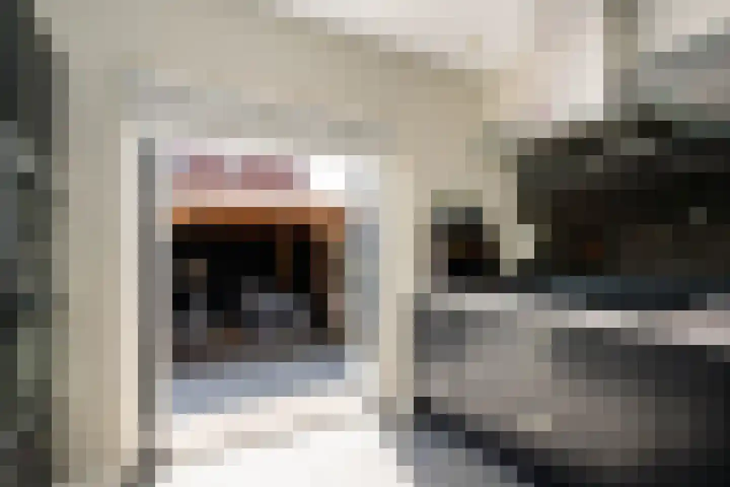 Tussenlanen 3 Bergambacht thumbnail 17