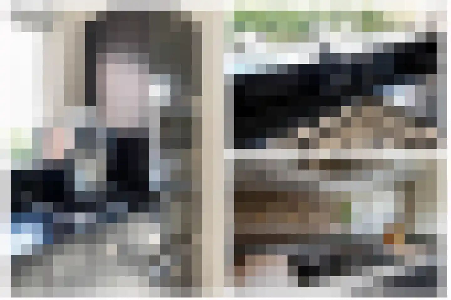 Tussenlanen 3 Bergambacht thumbnail 20