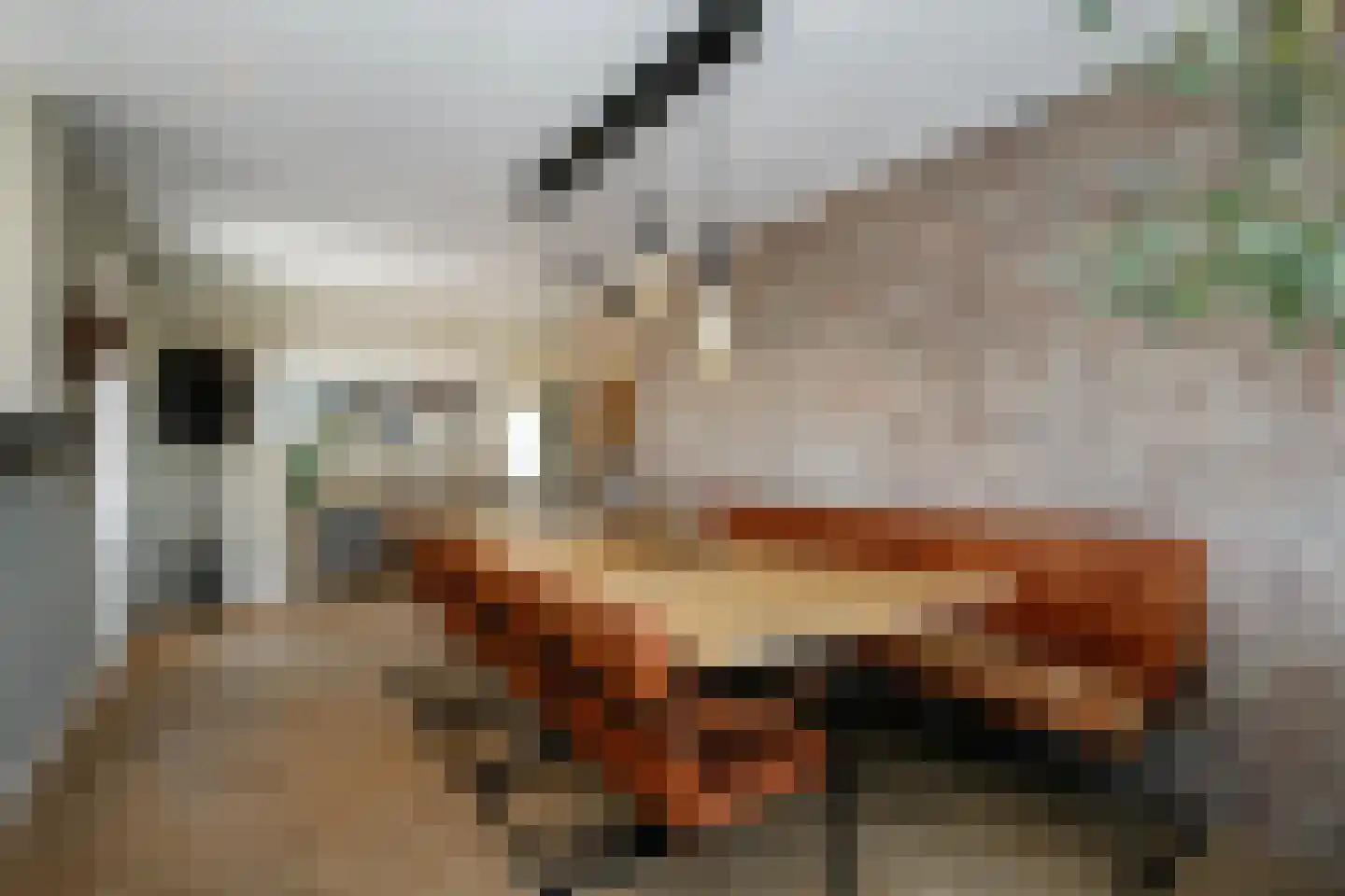 Tussenlanen 3 Bergambacht thumbnail 21