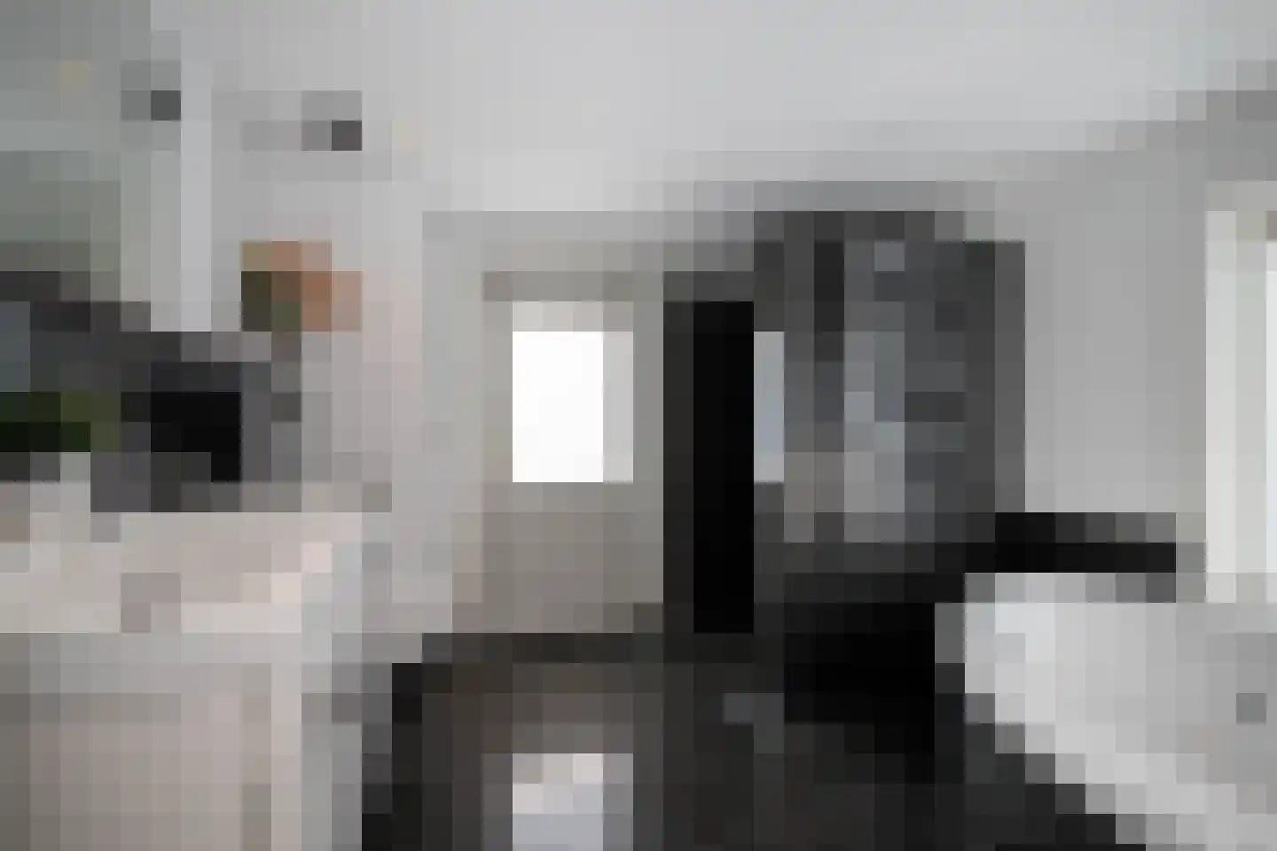 Tussenlanen 3 Bergambacht thumbnail 25
