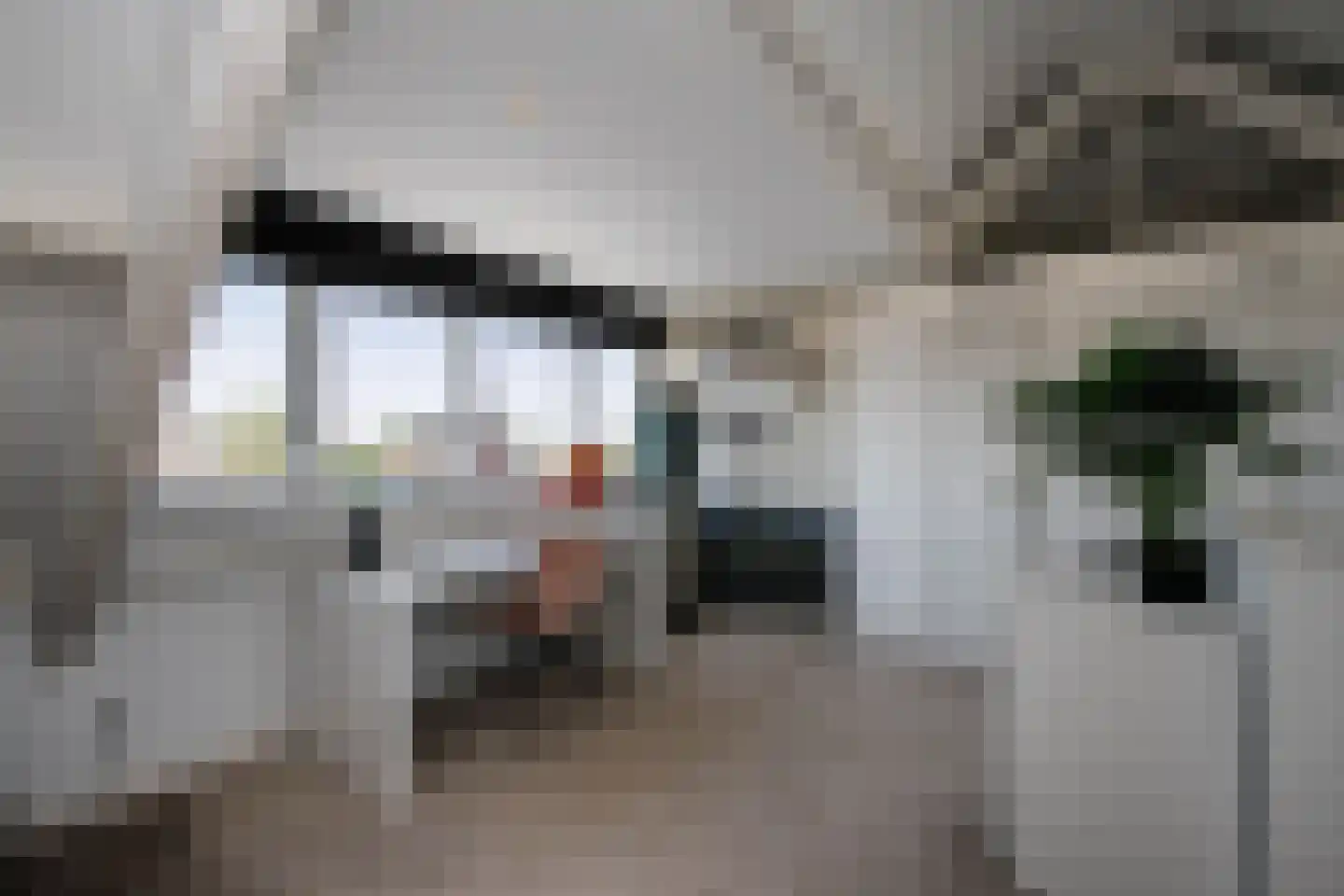 Tussenlanen 3 Bergambacht thumbnail 29
