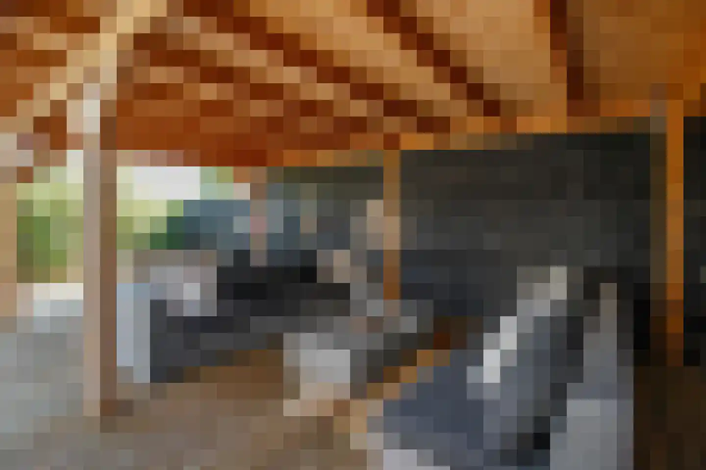 Tussenlanen 3 Bergambacht thumbnail 36