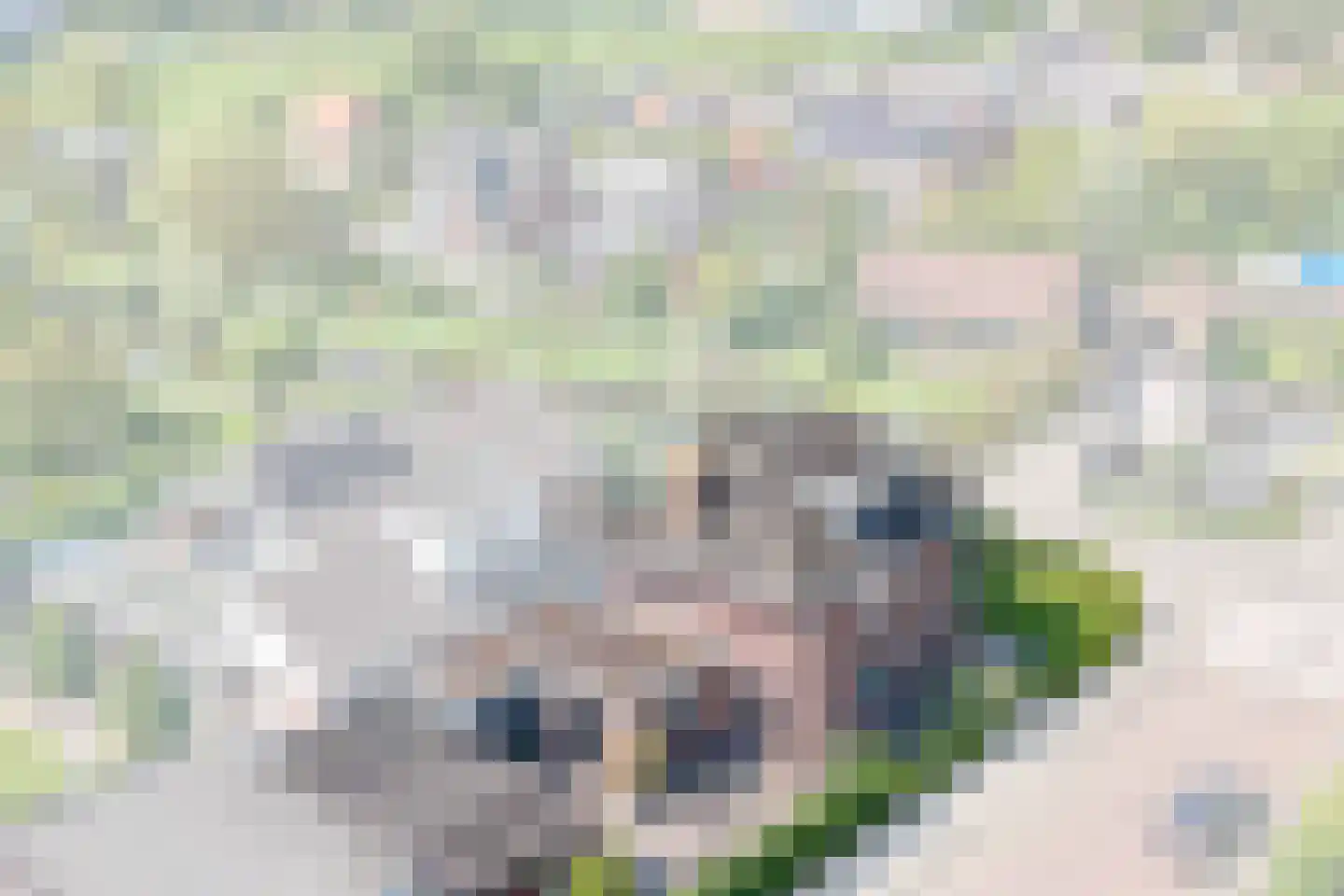 Tussenlanen 3 Bergambacht thumbnail 5
