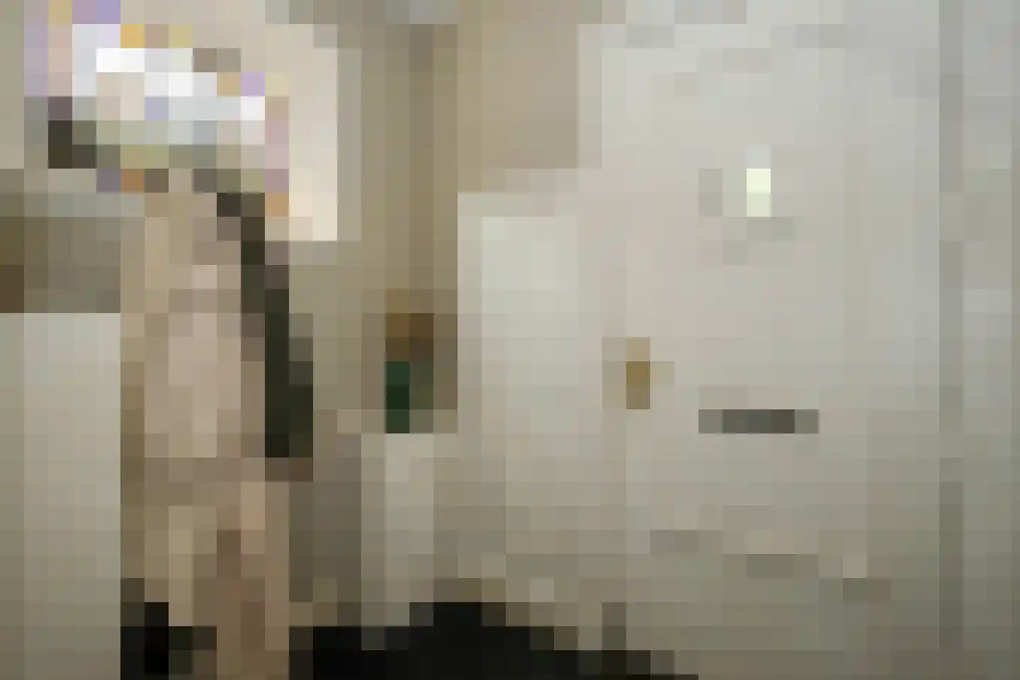 Tussenlanen 3 Bergambacht thumbnail 6