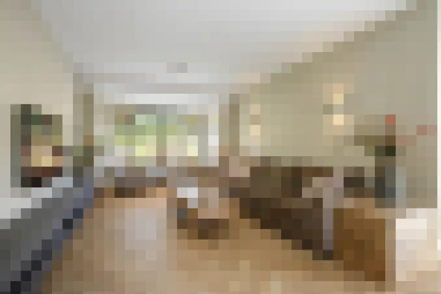 Tussenlanen 3 Bergambacht thumbnail 9