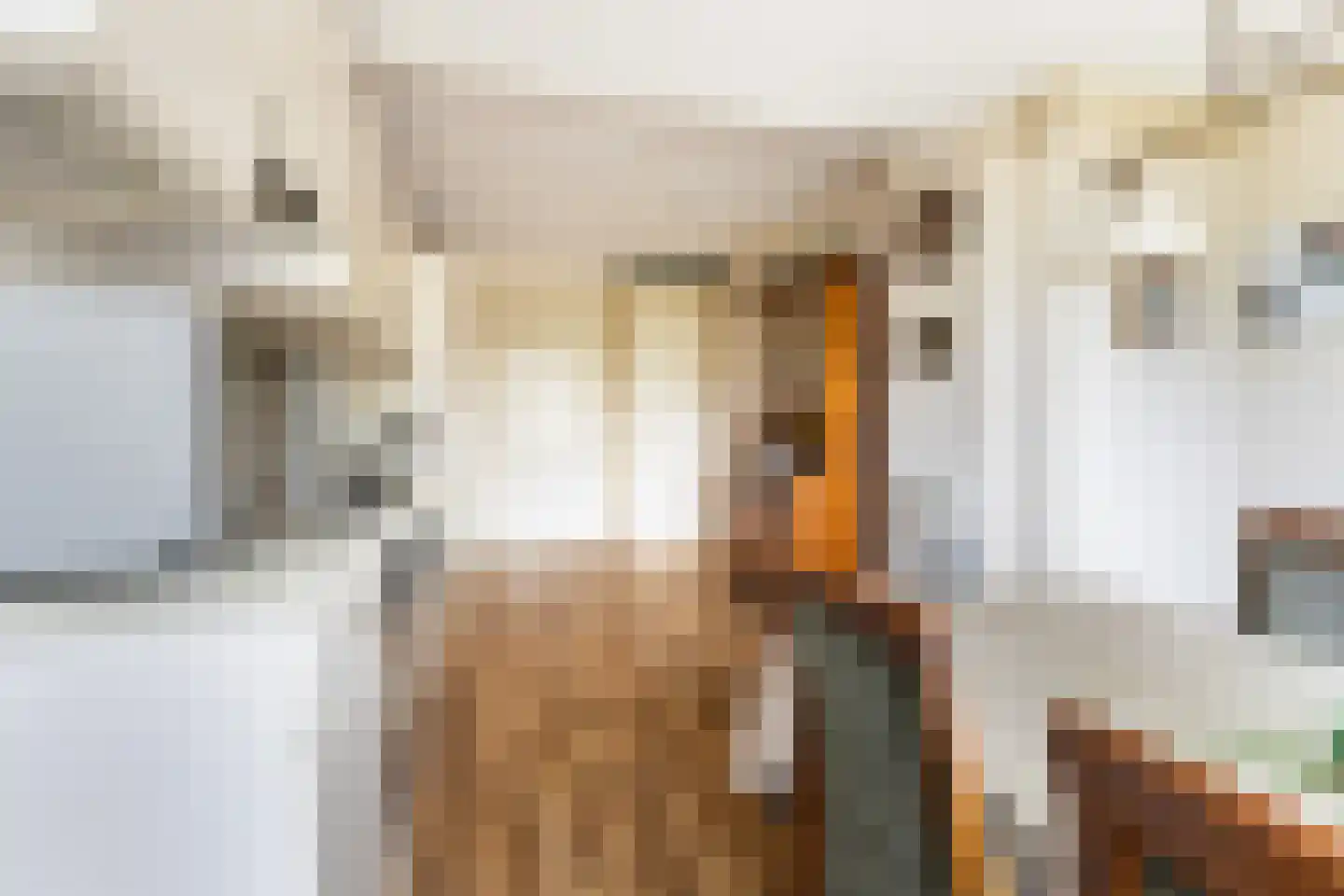 Tussenlanen 4 Bergambacht thumbnail 11
