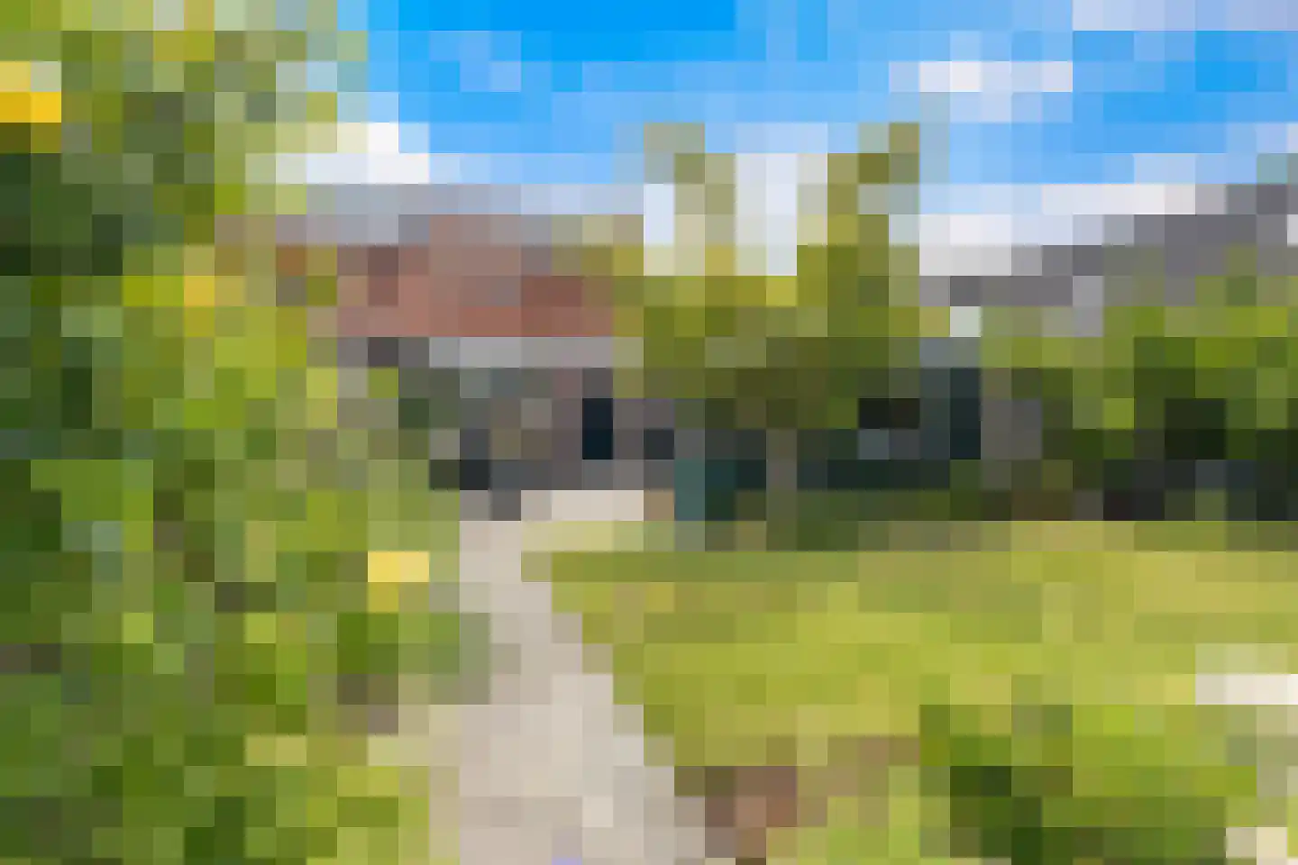 Tussenlanen 4 Bergambacht thumbnail 15