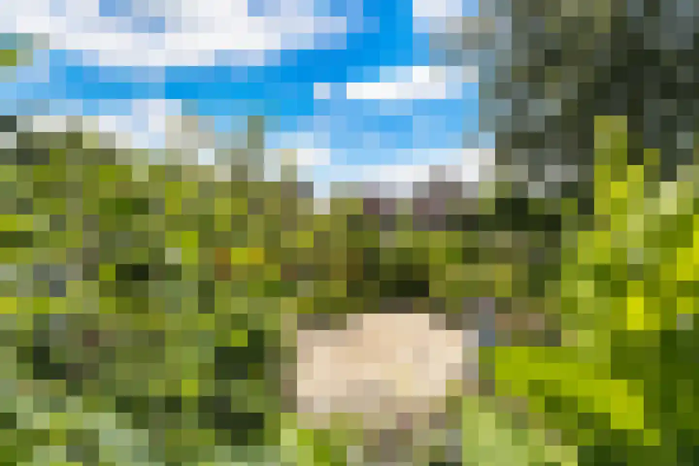 Tussenlanen 4 Bergambacht thumbnail 17