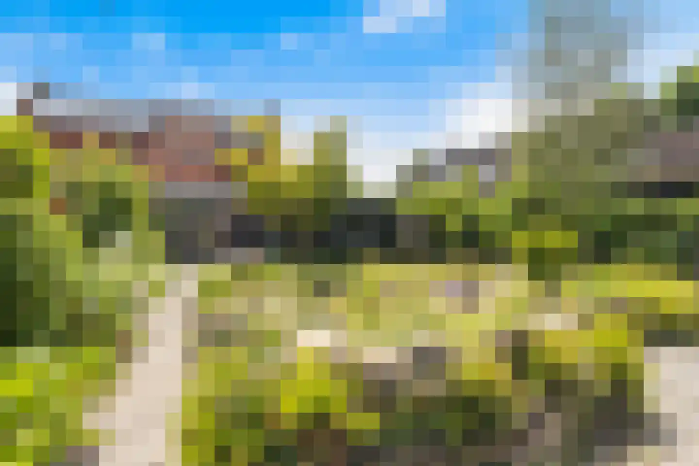 Tussenlanen 4 Bergambacht thumbnail 18
