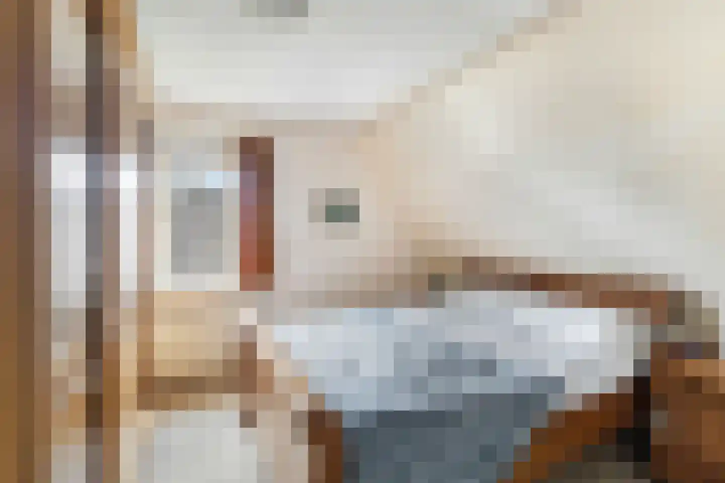 Tussenlanen 4 Bergambacht thumbnail 20