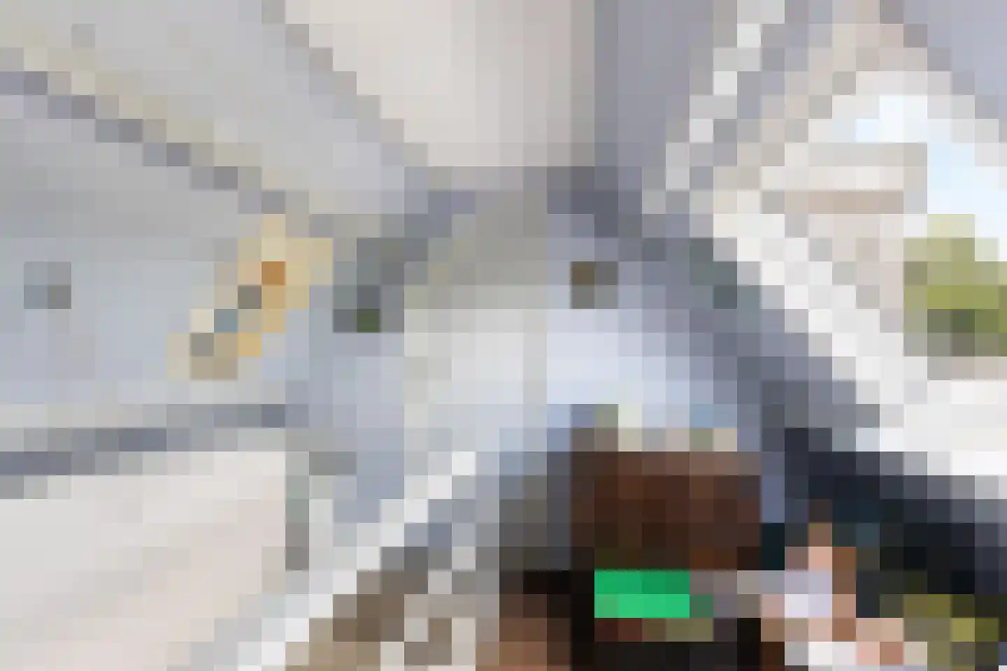 Tussenlanen 4 Bergambacht thumbnail 29