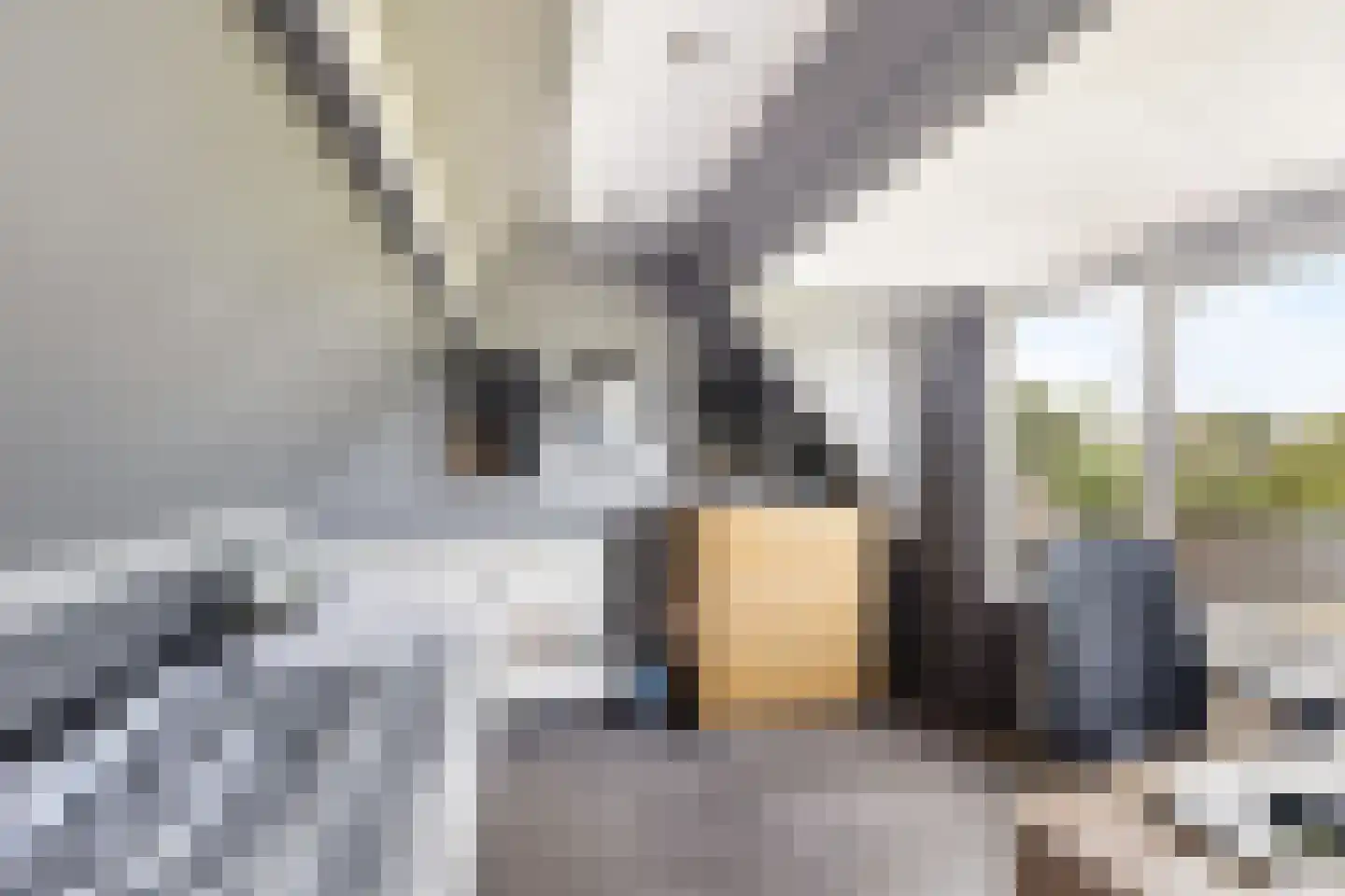 Tussenlanen 4 Bergambacht thumbnail 30
