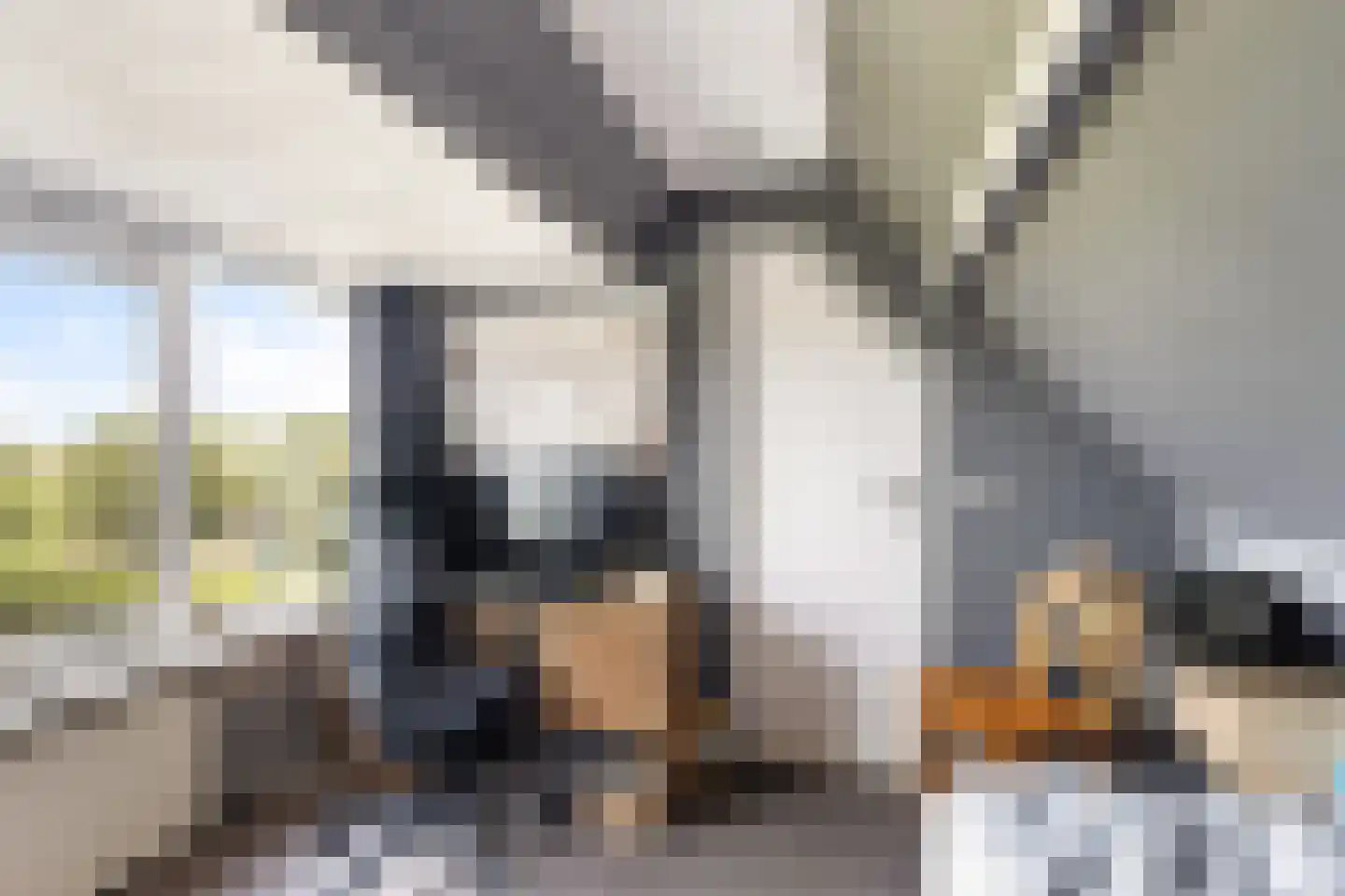 Tussenlanen 4 Bergambacht thumbnail 31