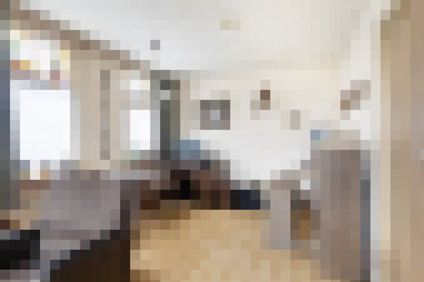 Tussenlanen 4 Bergambacht thumbnail 7