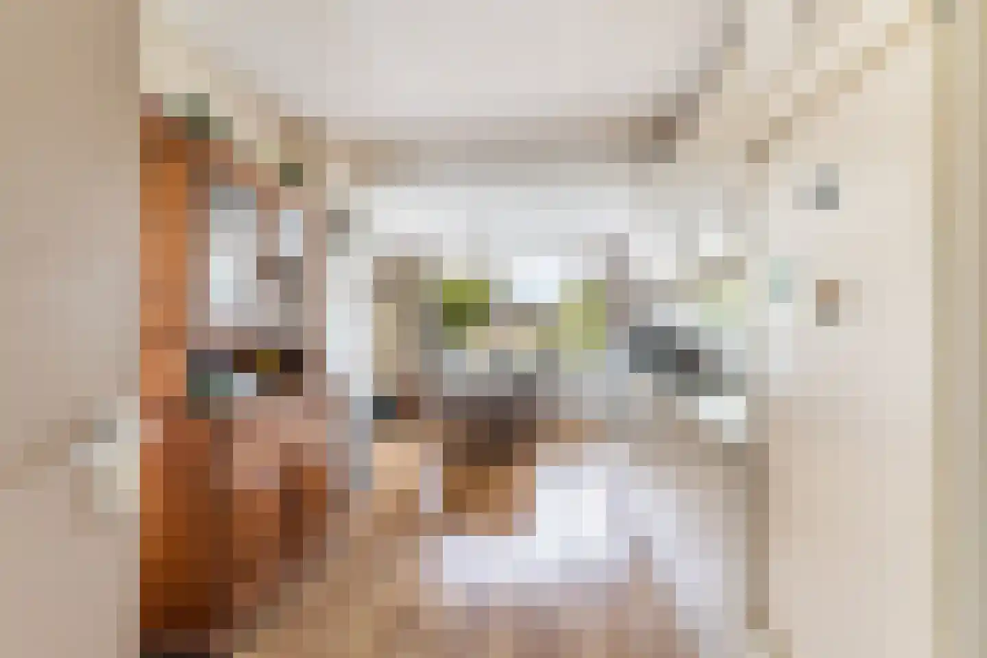 Tussenlanen 4 Bergambacht thumbnail 8