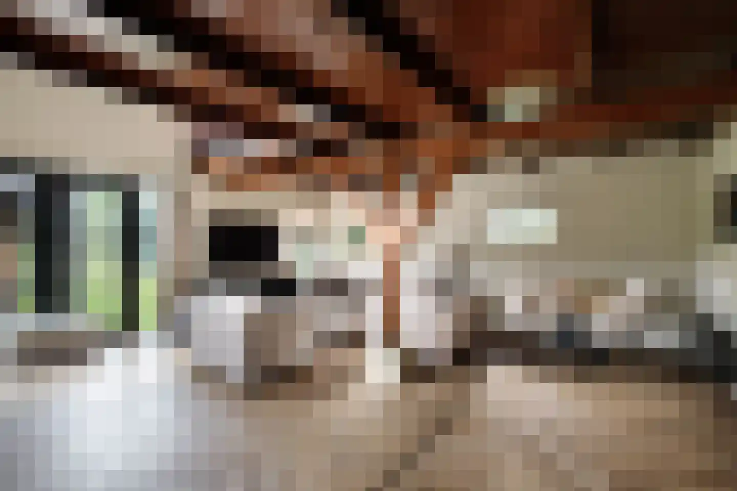 Tussenlanen 51 Bergambacht thumbnail 12