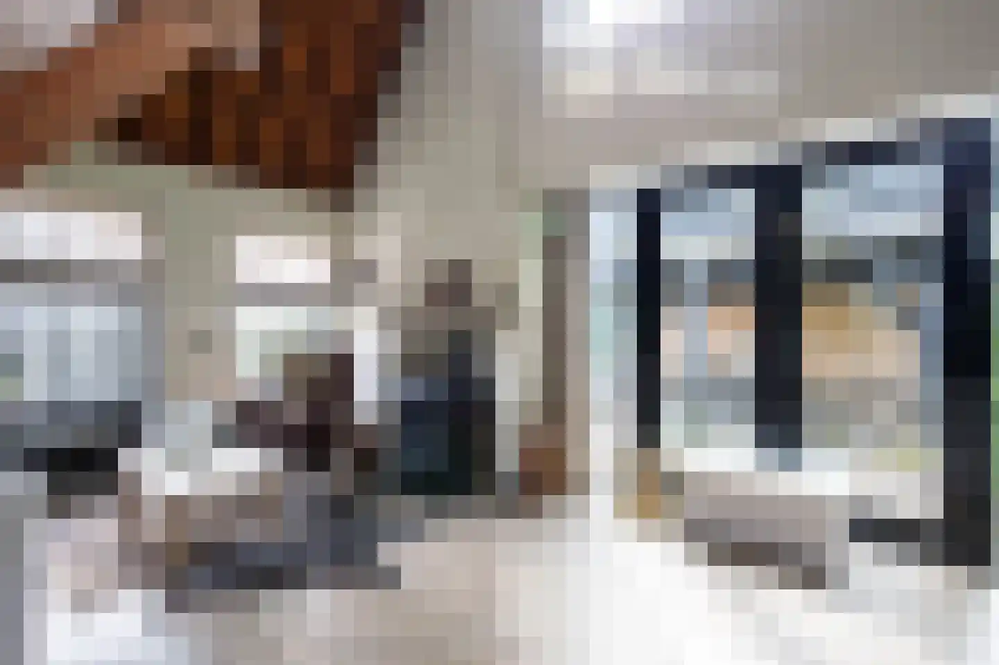 Tussenlanen 51 Bergambacht thumbnail 13