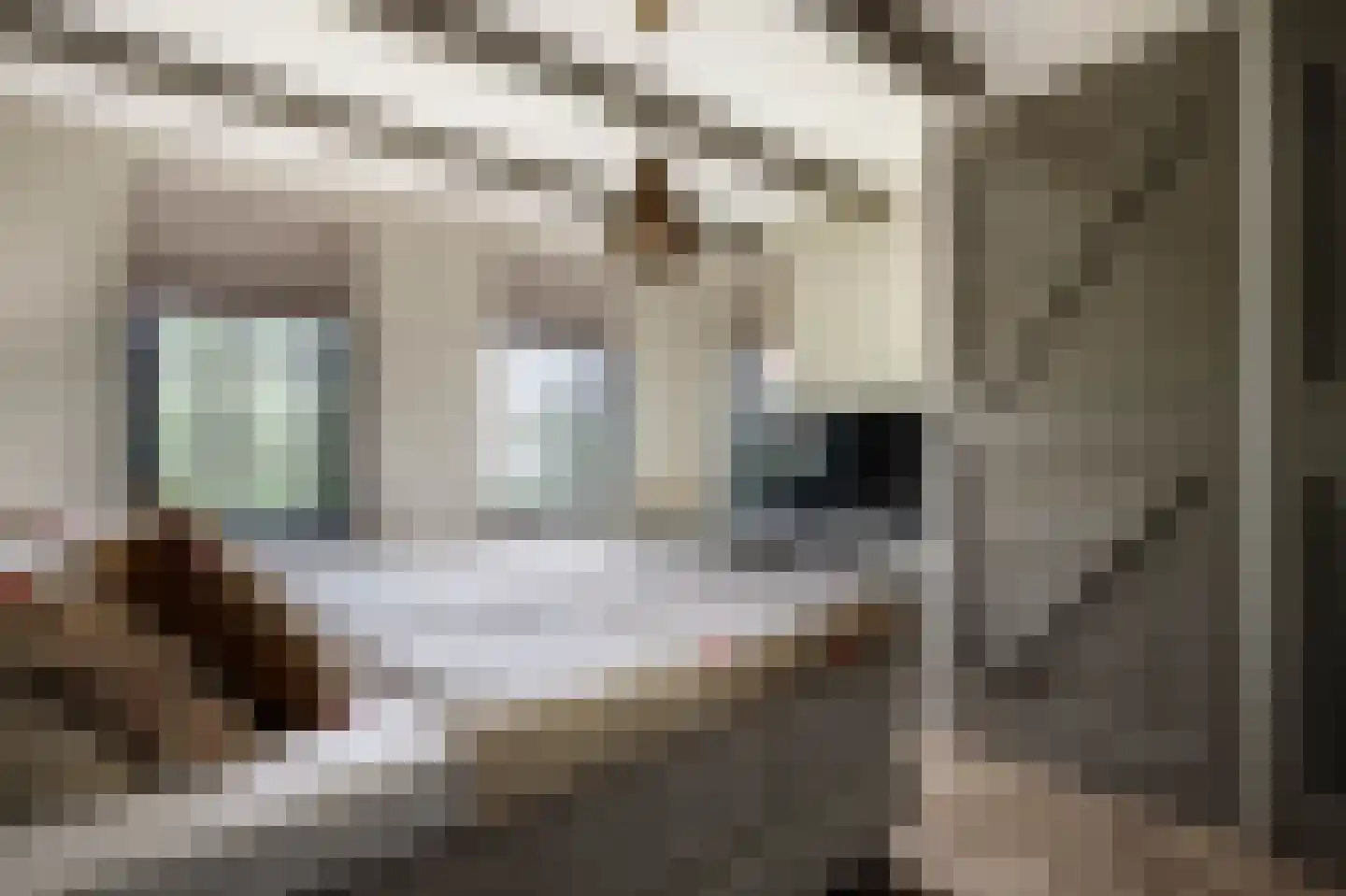 Tussenlanen 51 Bergambacht thumbnail 21