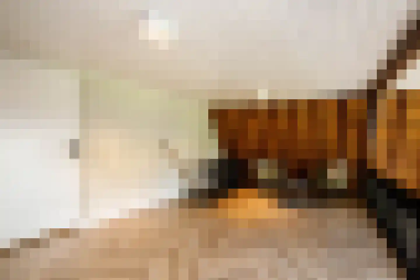 Tussenlanen 51 Bergambacht thumbnail 27