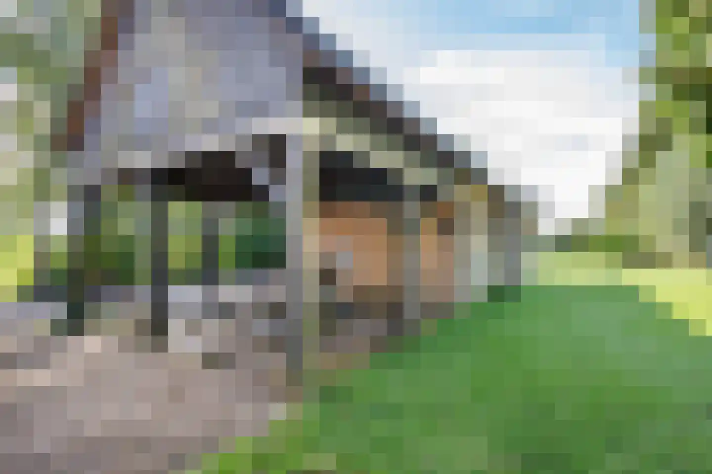 Tussenlanen 51 Bergambacht thumbnail 47