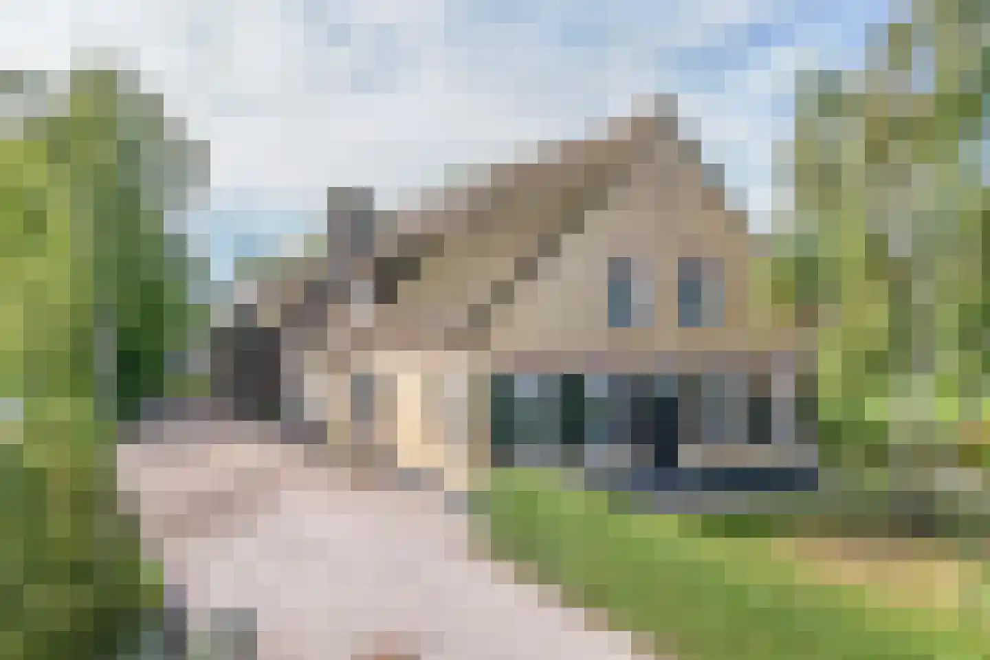 Tussenlanen 51 Bergambacht thumbnail 5