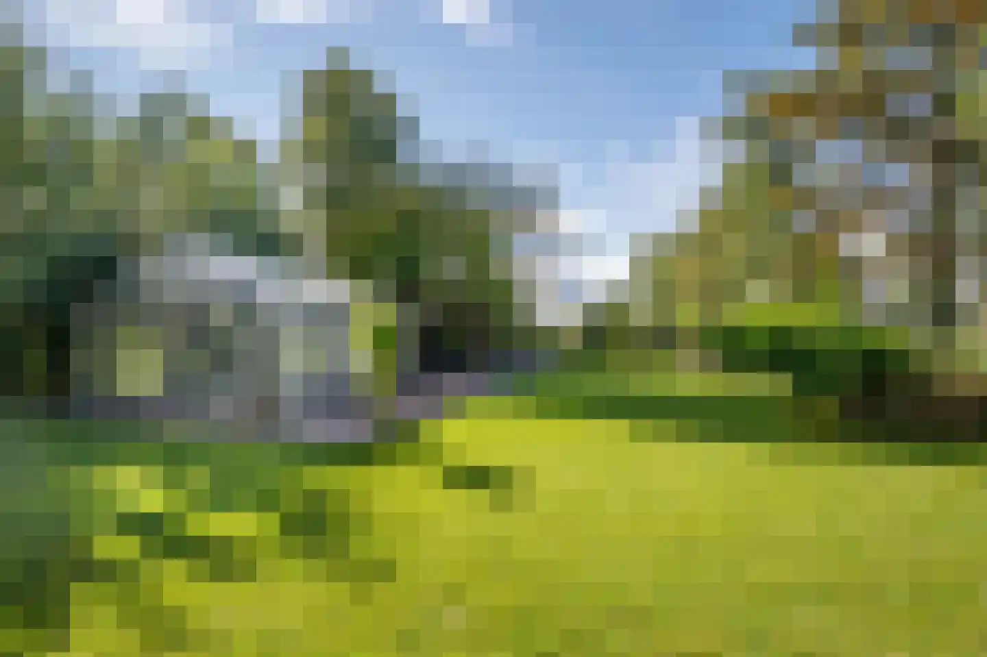 Tussenlanen 51 Bergambacht thumbnail 53