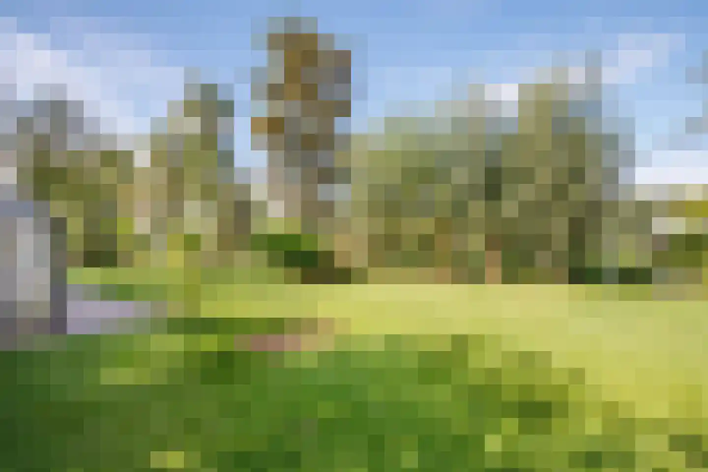 Tussenlanen 51 Bergambacht thumbnail 54