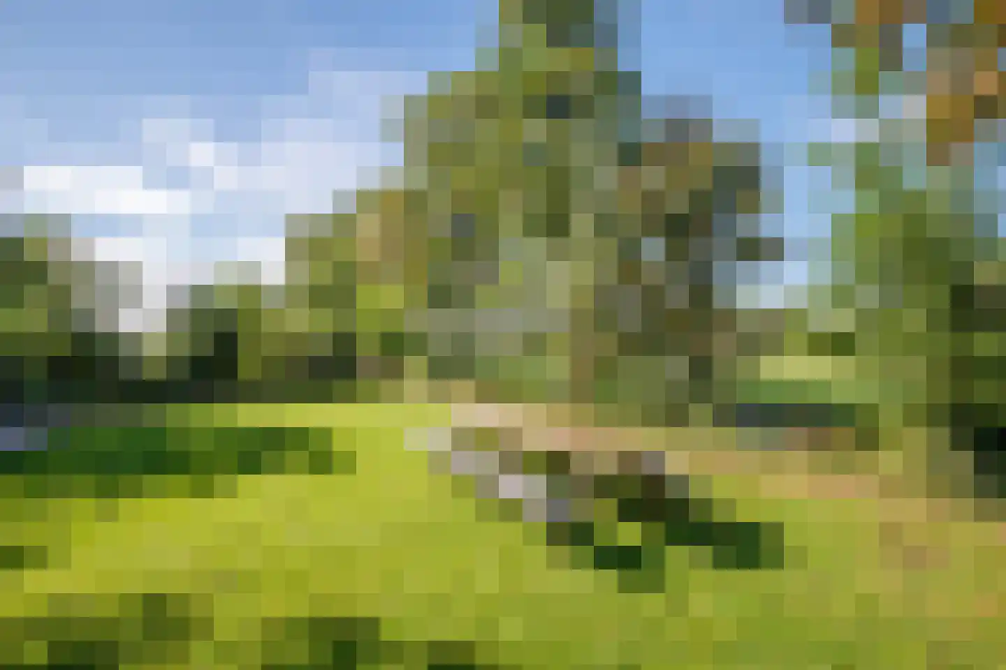 Tussenlanen 51 Bergambacht thumbnail 55