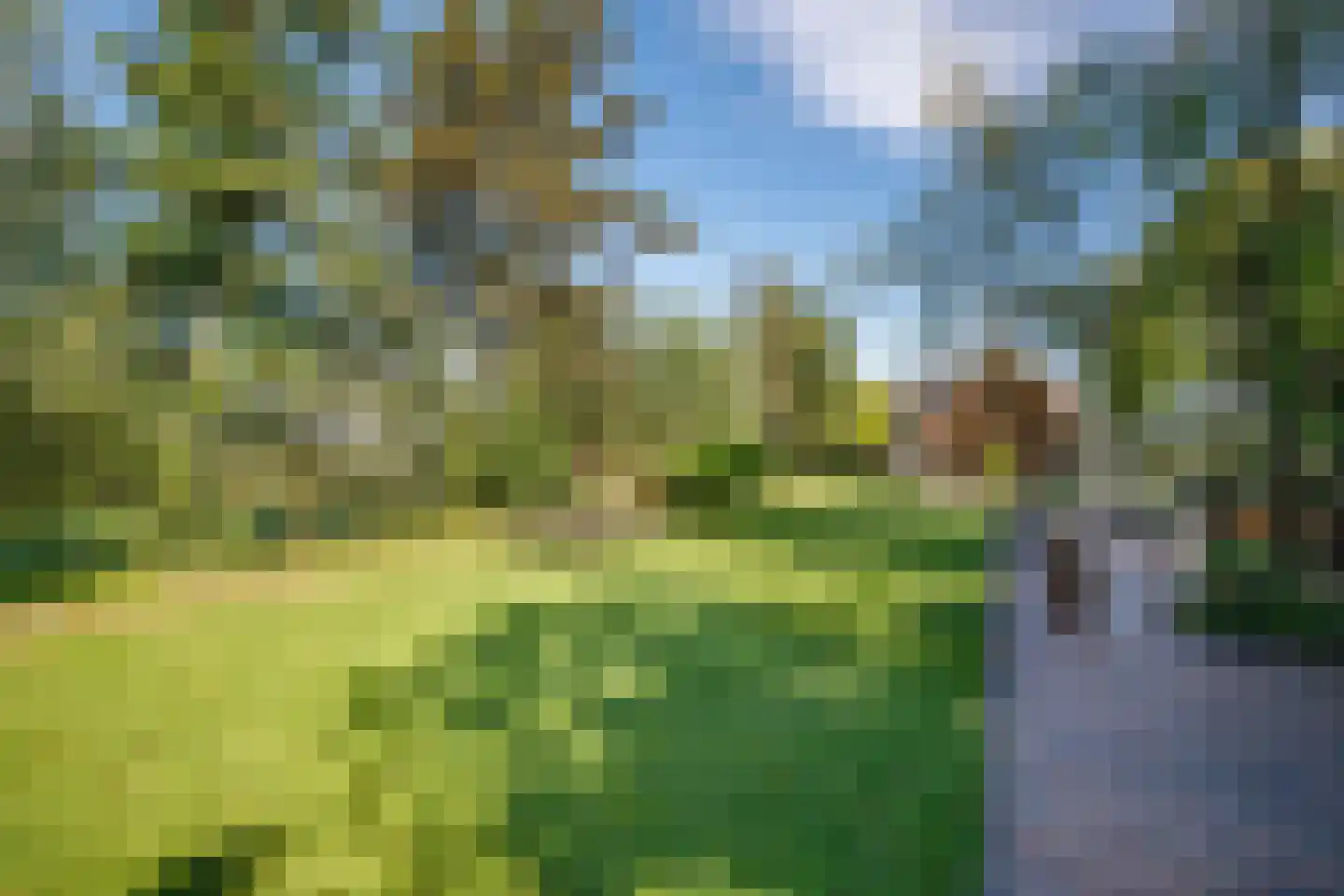 Tussenlanen 51 Bergambacht thumbnail 56