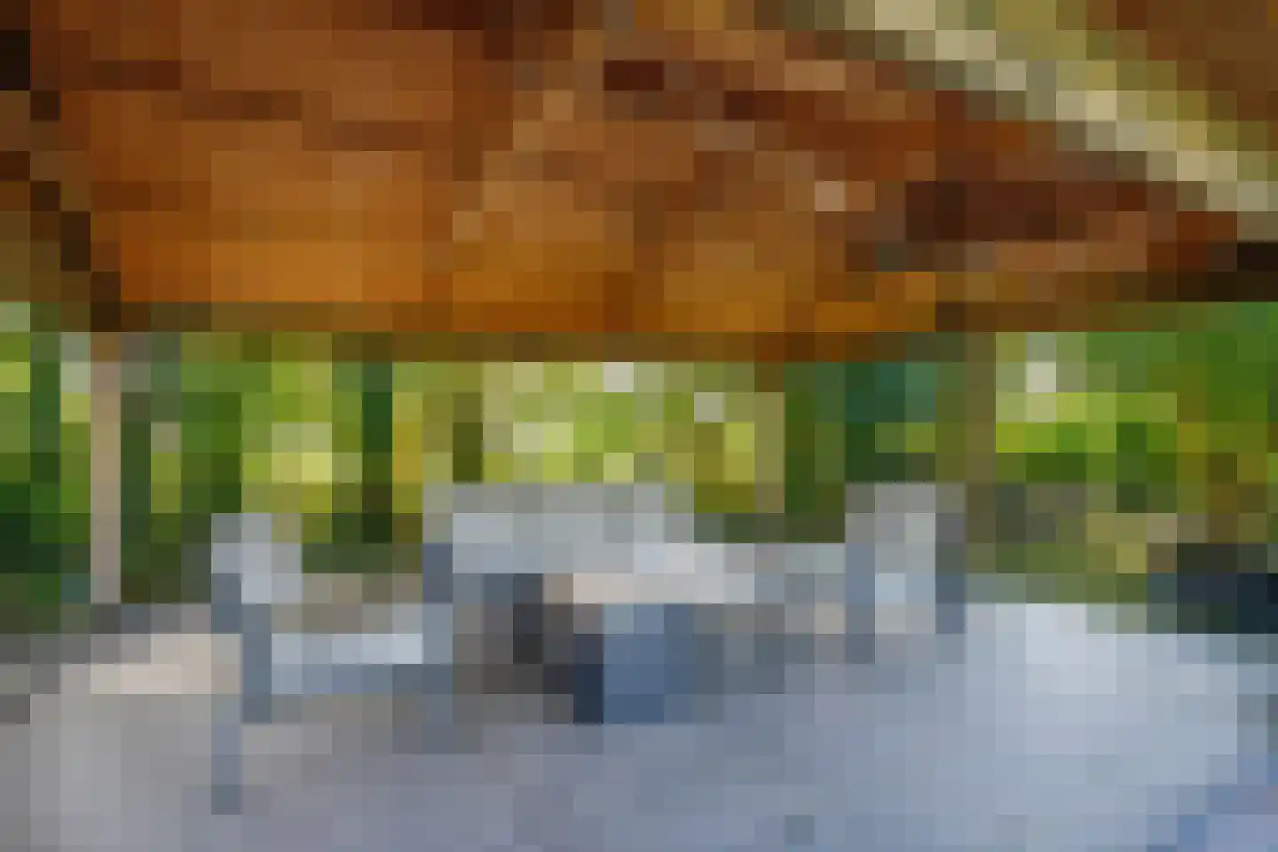 Tussenlanen 51 Bergambacht thumbnail 58