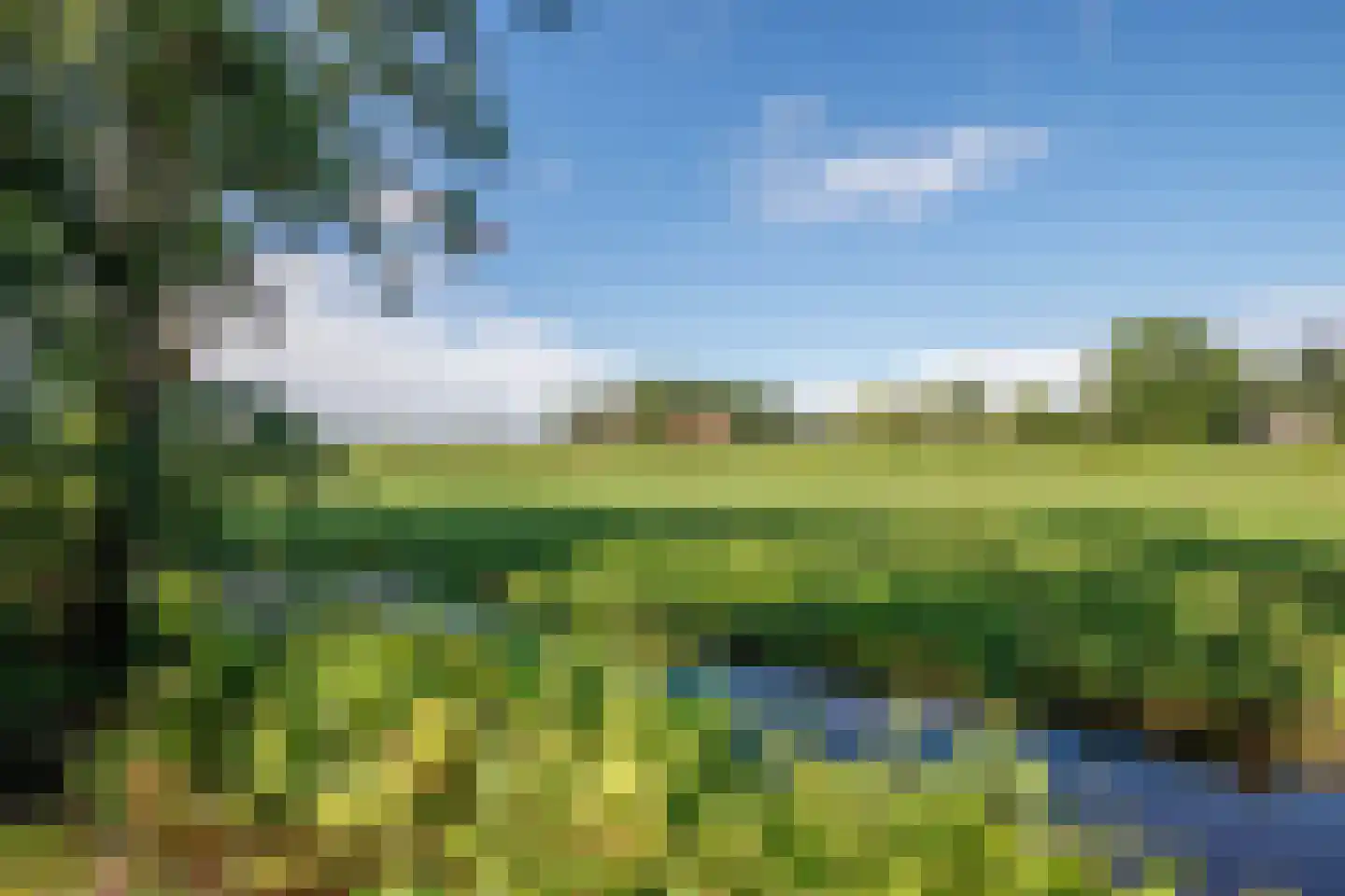 Tussenlanen 51 Bergambacht thumbnail 59