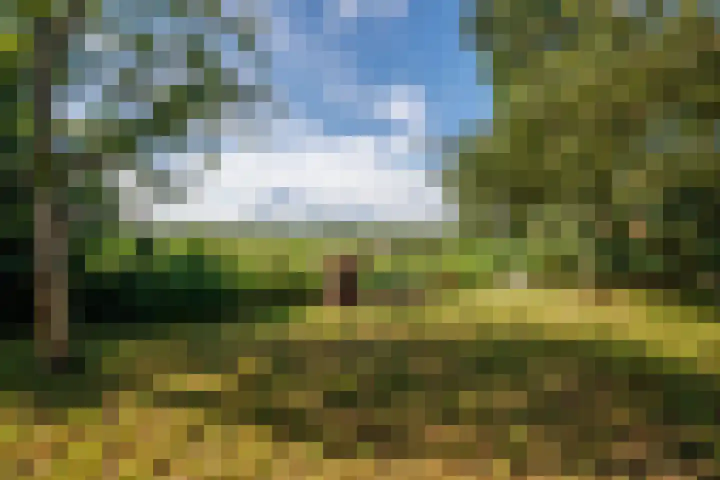 Tussenlanen 51 Bergambacht thumbnail 61