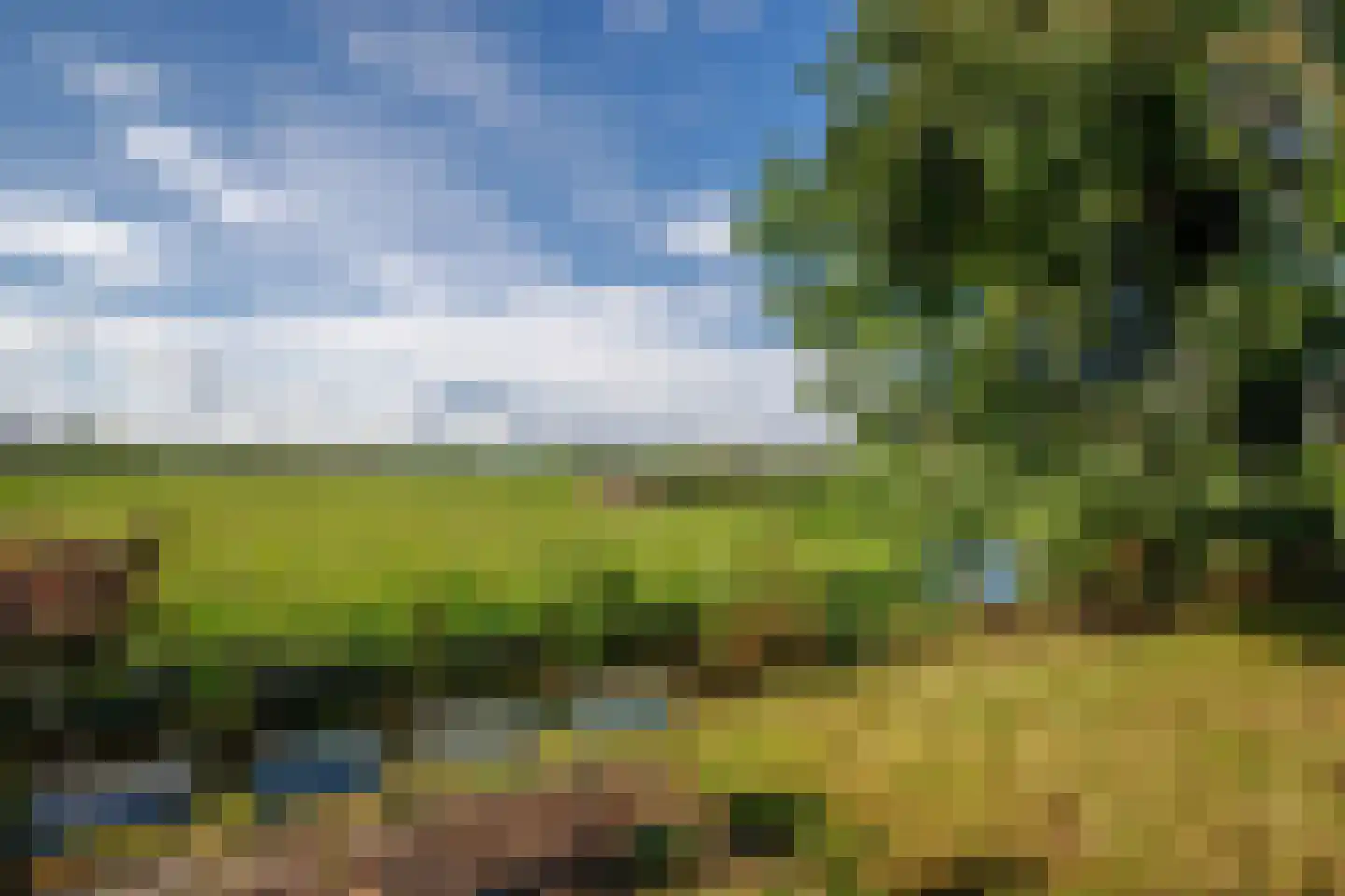 Tussenlanen 51 Bergambacht thumbnail 62